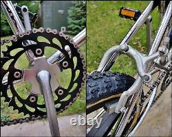 1984 ZEPHYR AERO FALCON PRO Chrome Looptail Frame Mags Old School BMX Vintage