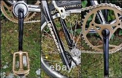 1985 AMMACO MONGOOSE Wire Wheel 100% Chrome BMX Old School Bike Araya GT SR