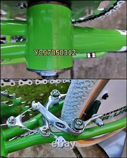 80's Old School BMX Bike Green USA Retro Freestyler Bicycle Mid Skool gt PRO