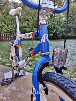 80s RALEIGH TEAM AERO BURNER Styler MAG MK2 Original Survivor Old School BMX