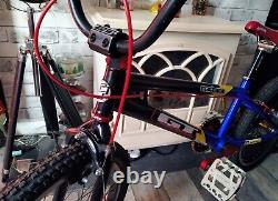 BMX Bike GT Mach One crmo Racing Middleburn azonic old School retro