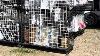 Bmx Shop On Wheels Set Up At Hampton Bmx Super Track