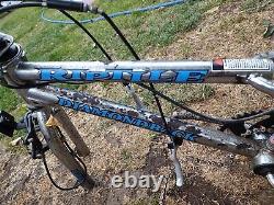 Bmx bike old school chrome diamond back Riptile midschool survivor 90s era BMX