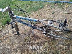 Bmx bike old school chrome diamond back Riptile midschool survivor 90s era BMX