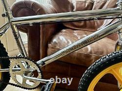 Chrome BMX, Skyway, CW Racing, Tribute BMX Bike, Bicycle, Old School, Mid School