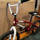 Diamond Back Viper Mini 16 Bmx Pit Bike 16 Kids Bike Old School Redline Gt Elf