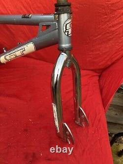 GT Fly Rare Bmx old School/mid? Frame/Forks