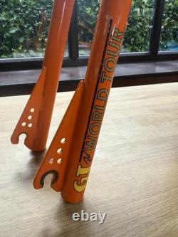GT Pro Performer BMX Old School
