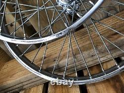 Genuine Old School Bmx Raleigh Burner 20 Survivor Raleigh Steel Wheels