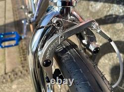 Haro 40th Anniversary Bob Haro Freestyler Lineage Old School Style Retro Bike
