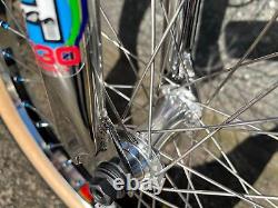 Haro 40th Anniversary Bob Haro Freestyler Lineage Old School Style Retro Bike
