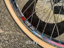 Haro 40th Anniversary Bob Haro Freestyler Lineage Old School Style Retro Bike