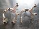Mongoose Pro Class Bmx Brakes Old School Bmx Lee Chi Bmx Brakes Vintage Bmx 80s