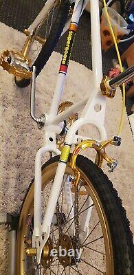 Mongoose Supergoose 2 custom old school bmx raleigh burner Haro skyway, p/x