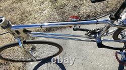 OLD SCHOOL BMX EARLY 80s SE RACING QUADANGLE JUNIOR CRUISER CHROME VINTAGE RARE