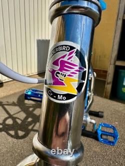 Old School 1985 Thunderbird BMX Excellent