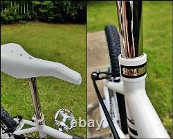 Old School BMX Bike USA Retro Vintage White Bicycle Classic Burner Era V-Bars