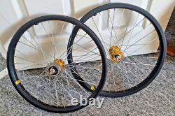 Old School BMX. Rare 80s Graphite ACS Zrims. Near Mint Condtion