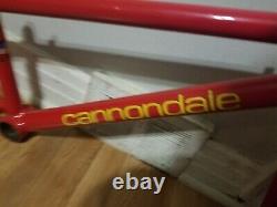 Old School Bmx 1995 Cannondale 24 Cruiser Frame Fork Headset Vintage Rare Htf