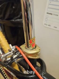 Old School gt pro series Team Model Bmx Araya Suntour. Feel Free To Make A Offer