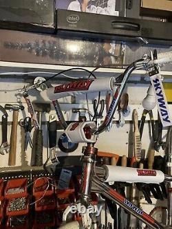 Old school bmx Skyway Ta Streetbeat Rare Chrome 1 Of 5 Prototype Show Bike Bmx