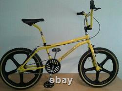 Old school bmx bike. GT Eddie Fiola Replica