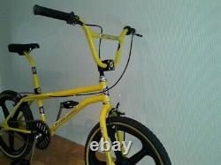 Old school bmx bike. GT Eddie Fiola Replica