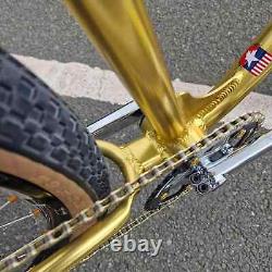 Race Inc RA29 Custom 29 Inch Custom Old School Style Retro BMX Bike Gold / Black