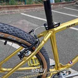 Race Inc RA29 Custom 29 Inch Custom Old School Style Retro BMX Bike Gold / Black