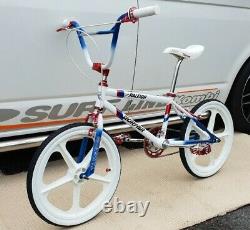 Raleigh Burner team burner custom aero pro old school bmx skyway Haro Mongoose