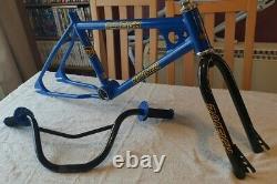 Raleigh Burner team burner custom aero pro old school bmx skyway Haro Mongoose