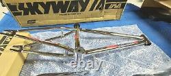 Retro Skyway TA Frame Fork, Handlebars, Seat, Seat post set old school BMX