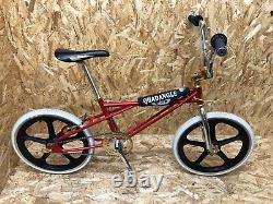 SE Racing Quadangle, Old School, Skyway tuff, Peregrine, Panaracer, BMX