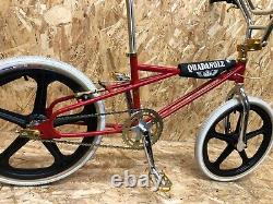 SE Racing Quadangle, Old School, Skyway tuff, Peregrine, Panaracer, BMX