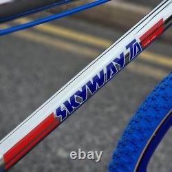 Skyway T/A 20 Inch Custom Old School BMX Bike Chrome / Blue