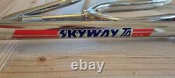 Skyway T/A Custom Old School BMX Bike Chrome / Black / Red Tuff Wheels