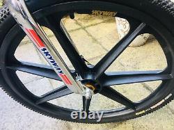 Skyway Ta XL 24, Old School Bmx Bike, Excellent Spec- Graphite Skyways + More