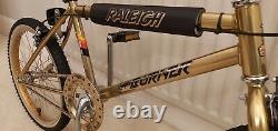 Stunning 1984 Raleigh Super Burner Old School BMX