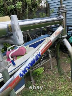 Bmx Old School 1983 Skyway Ta Frame And Fork Lire La Description Regarder Les Photos