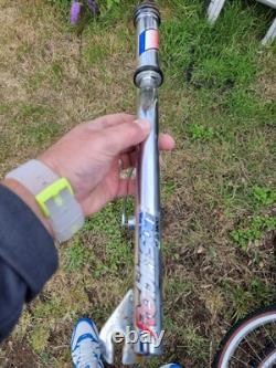 Cadre de BMX Robinson Old School trouvé dans une grange