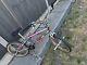 Hoffman Condor Anniversary Matt Hoffman Mid Old School Bmx Ramp Room Se Stunning