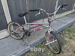 Hoffman Condor Anniversary Matt Hoffman MID Old School Bmx Ramp Room Se Stunning
