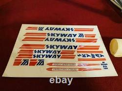 Skyway Ta Années 1980 Old School Bmx 20 Inch Frame Vintage Rare