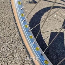 Vélo BMX Ironhead Custom Cruiser 26 pouces Style Old School Bleu Bonbon / Or