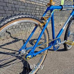 Vélo BMX Ironhead Custom Cruiser 26 pouces Style Old School Bleu Bonbon / Or